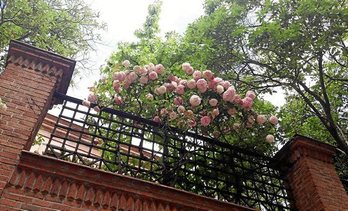 gara-2020-05-15-Noticia