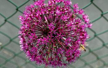 gara-2020-05-19-Noticia