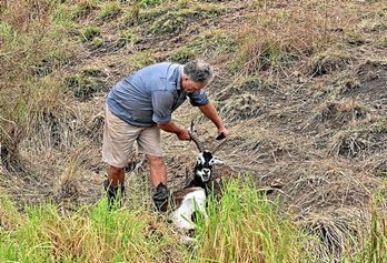 gara-2020-05-27-Noticia