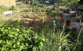 gara-2020-05-29-Noticia