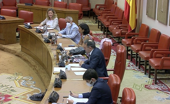 La Comisión de Reconstrucción ha acogido las intervenciones de Cáritas, EAPN e Intermón Oxfam sobre la pobreza. (NAIZ).