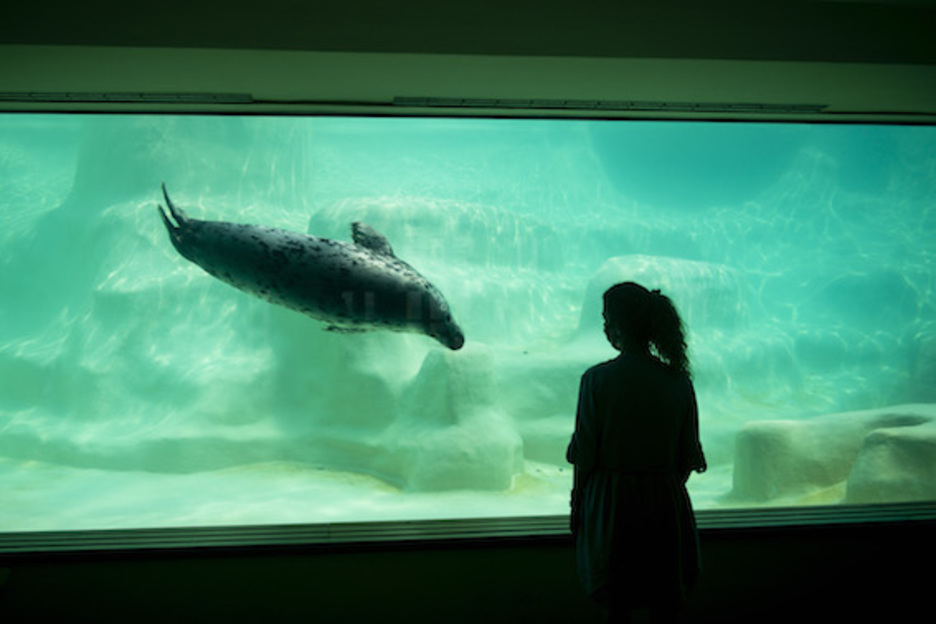 Parmi les établissements qui ont pu rouvrir ce mardi 2 juin : les musées. Ici, le Musée de la mer à Biarritz. Le port du masque y est obligatoire, avec interdiction de toucher les vitres des aquariums. © Guillaume Fauveau