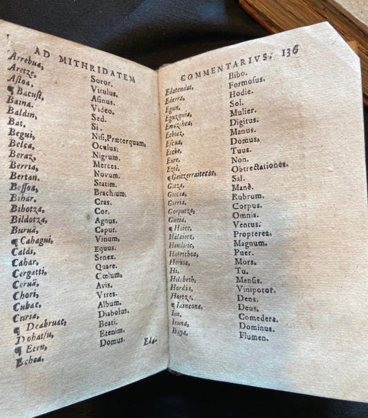 Euskaratik latinera ehun hitz itzuli zituen 1610. urtean Caspar Waserrek (Mintzoa argitaletxea).