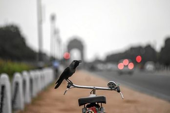 gara-2020-06-05-Noticia