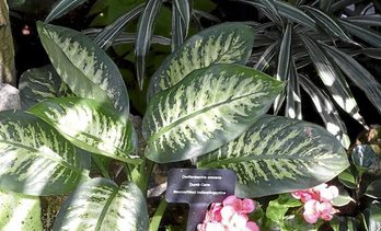 gara-2020-06-05-Noticia