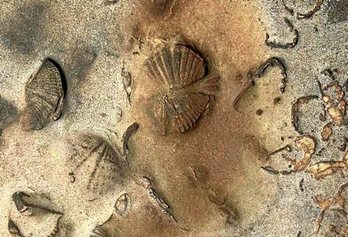 gara-2020-06-07-Noticia