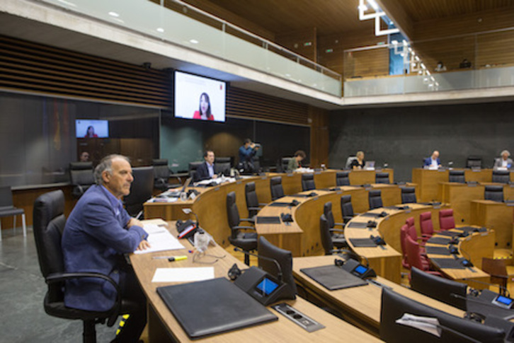 Un momento de los trabajos de la Comisión Especial sobre el Plan Reactivar. (PARLAMENTO DE NAFARROA)
