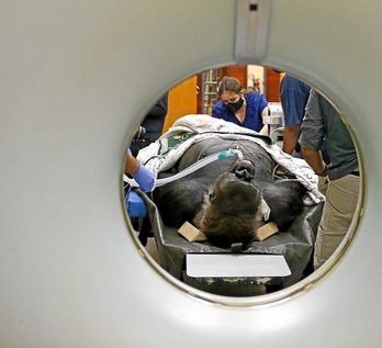 gara-2020-06-19-Reportaje