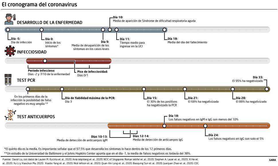 Cronograma del ciclo del coronavirus