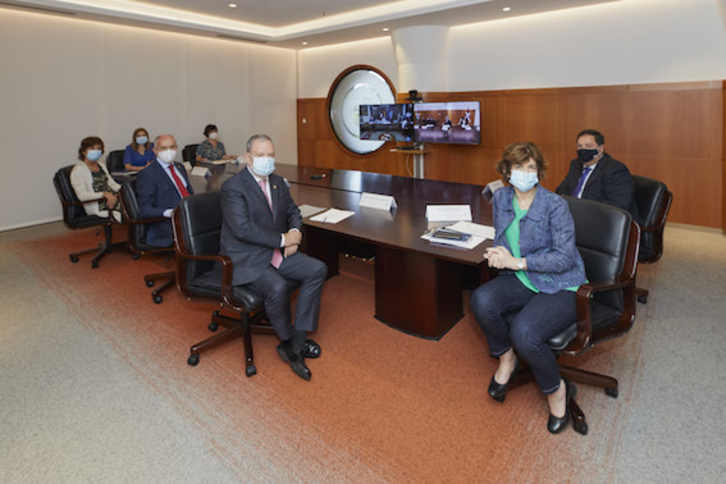 Imagen de la delegación de la CAV en la Comisión Mixta de Transferencias conectada por videoconferencia con el Ministerio. (IREKIA)