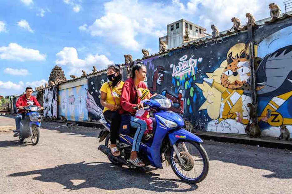 Hiru urtean, tximinoen populazioa bikoiztu egin zen eta 6.000 makako bizi dira egun hirian, 27.000 gizakirekin. (Mladen ANTONOV/AFP)