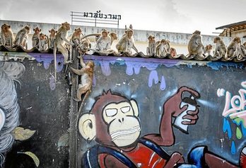 gara-2020-06-25-Noticia