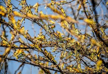 gara-2020-06-30-Noticia