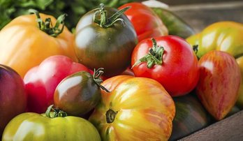 gara-2020-07-03-Noticia