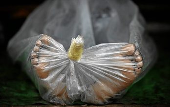 gara-2020-07-05-Noticia