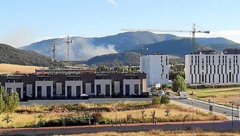 gara-2020-07-06-Opinión