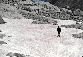 gara-2020-07-06-Noticia