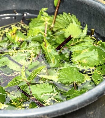 gara-2020-07-10-Noticia