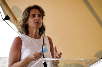 Teresa Ribera, vicepresidenta cuarta y ministra para la Transición Ecológica. (LA MONCLOA)