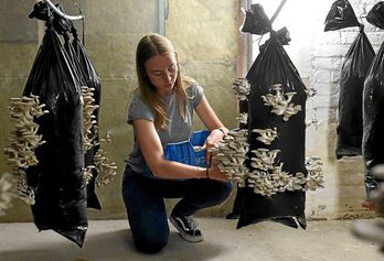 gara-2020-07-17-Noticia