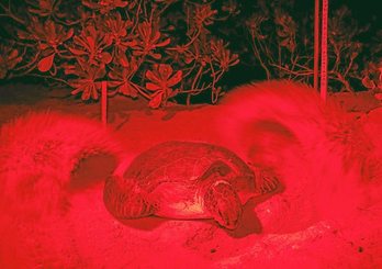 gara-2020-07-30-Noticia