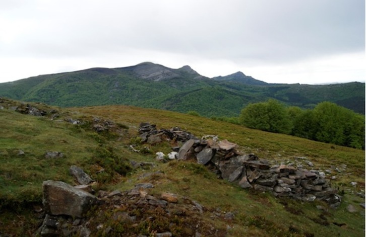 Oketa mendiko gailurreko lubakia. (EHU)