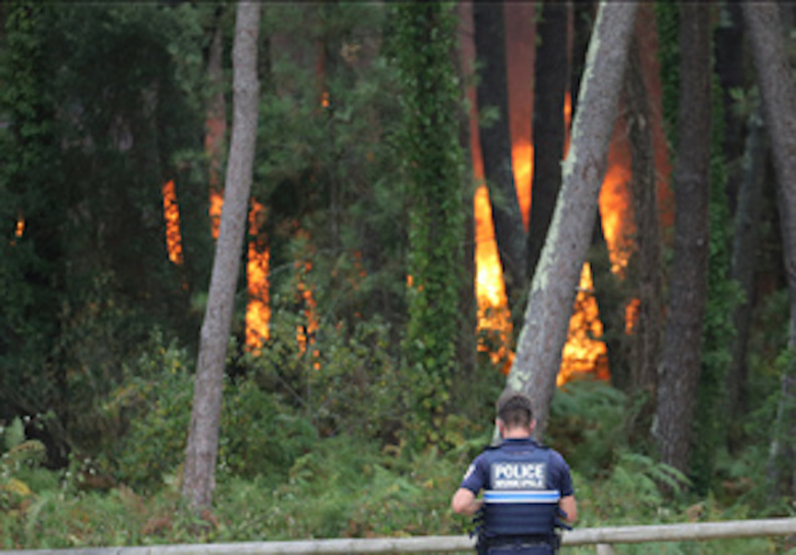 Un policía frente a las llamas en el bosque de Txiberta. (Bob EDME/FOKU)
