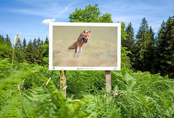 gara-2020-07-30-Noticia