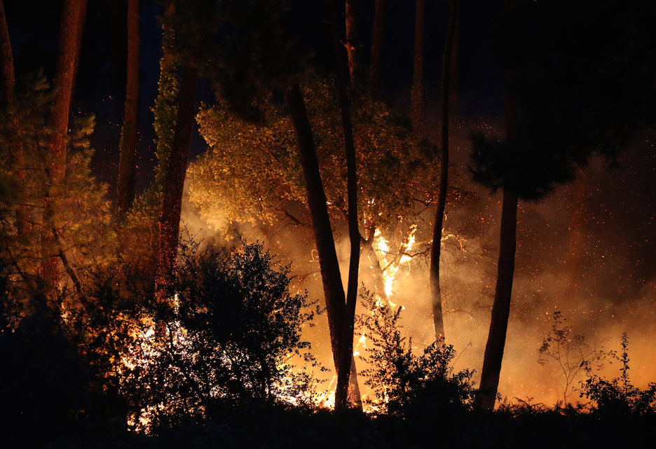 Près de 100 hectares de la forêt de Chiberta sont partis en fumée. © Bob EDME