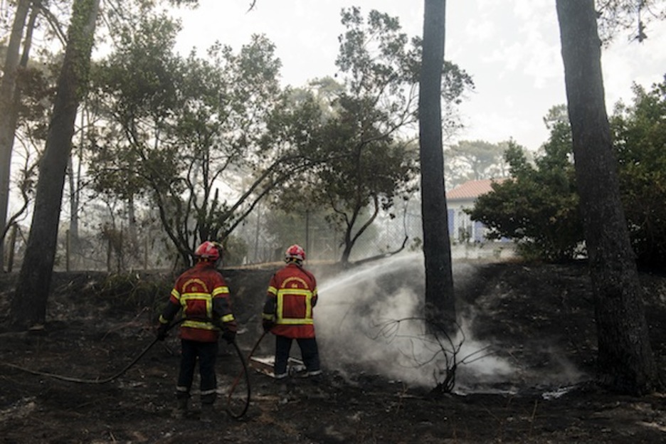 Sua etxeetik oso hurbil sortu zen. (Guillaume FAUVEAU/FOKU)