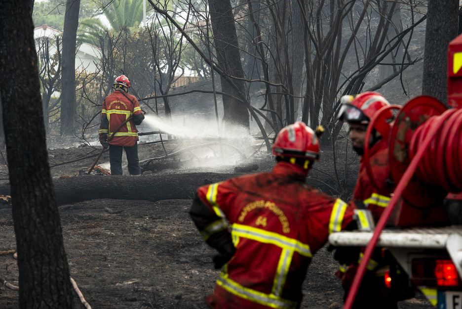 Les sapeurs-pompiers poursuivent d'arroser la forêt pour assurer un arrêt complet de l'incendie. © Guillaume FAUVEAU