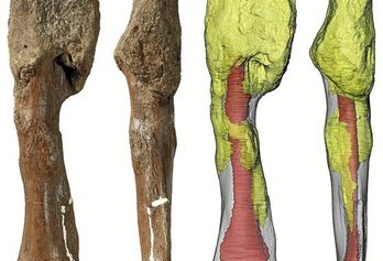 gara-2020-08-07-Noticia