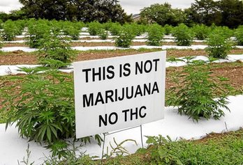 gara-2020-08-11-Noticia