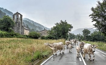 gara-2020-08-14-Reportaje