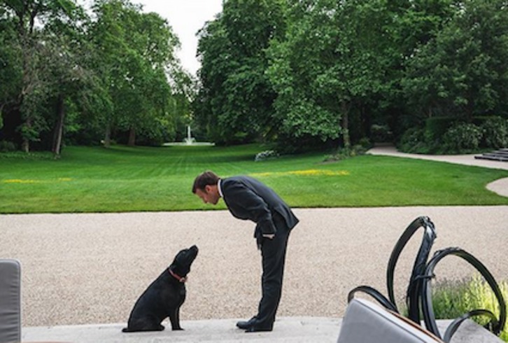 Emmanuel Macron con Nemo, su perro. (@EmmanuelMacron)