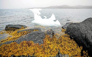 gara-2020-08-21-Noticia