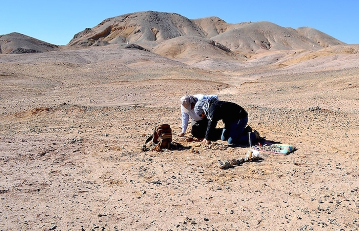 Investigadores trabajan en el desierto de Atacama. (UNIVERSIDAD DE CHILE)