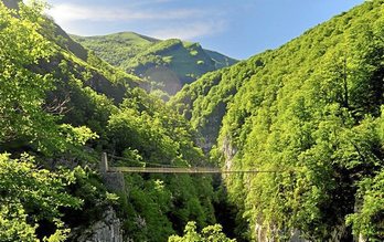 gara-2020-08-24-Noticia