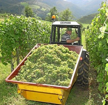 gara-2020-08-27-Reportaje