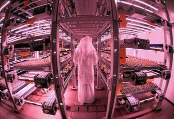 gara-2020-08-27-Noticia