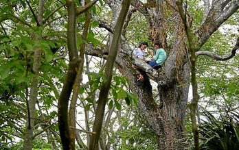 gara-2020-08-27-Noticia