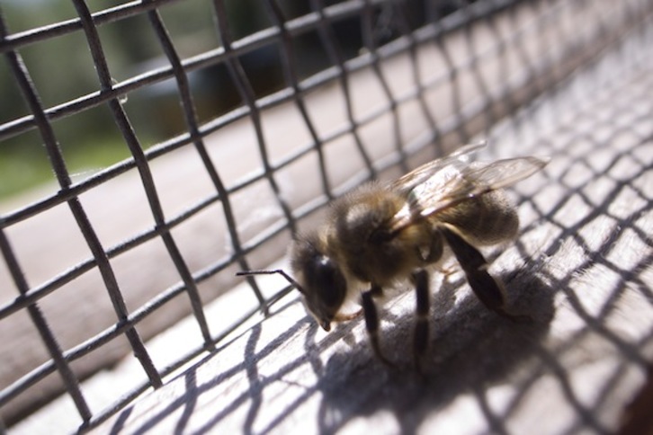 Erleen pozoiaren erabilera aztertzen ari dira. (Gari GARAIALDE/FOKU)
