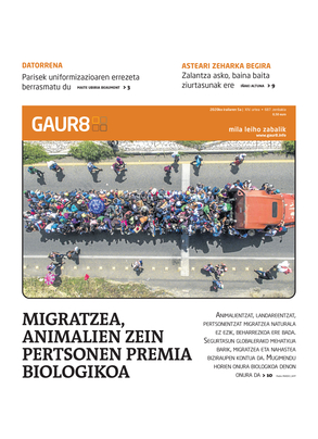 gaur8_2020-09-05-07-00