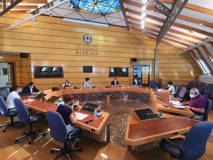 El diputado vizcaino de Acción Social ha comparecido en comisión en las JJGG.