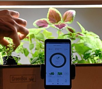 gara-2020-09-05-Noticia