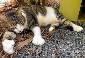 gara-2020-09-07-Noticia