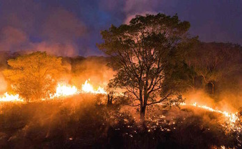 Fuego desatado en el Mato Grosso. (Ibere PERISSE | AFP)