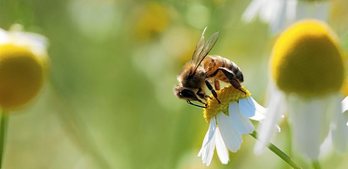 gara-2020-09-14-Reportaje