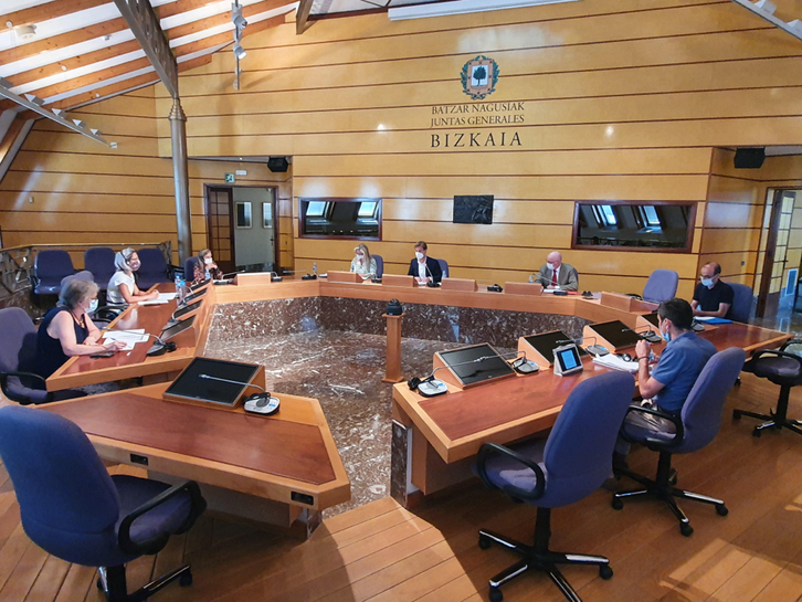 Comisión de Hacienda de las Juntas Generales.