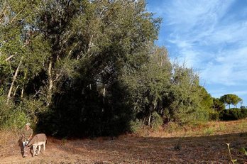 gara-2020-09-18-Noticia